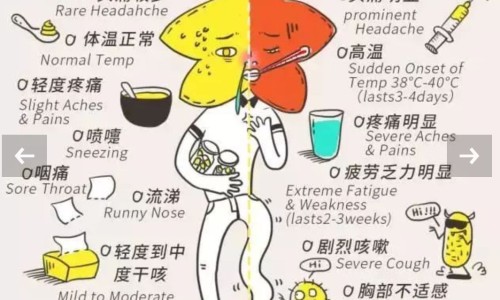 辽宁鞍山好不好网辽宁鞍山是不是很穷知识网站,分享辽宁鞍山有钱吗大全